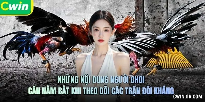 Những nội dung người chơi cần nắm bắt khi theo dõi các trận đối kháng
