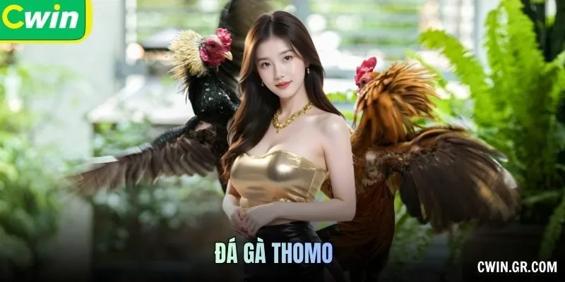 Đá Gà Thomo – Gay Cấn Từng giây, Mãn Nhãn Từng Phút